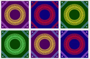 infinite cover 2024-03