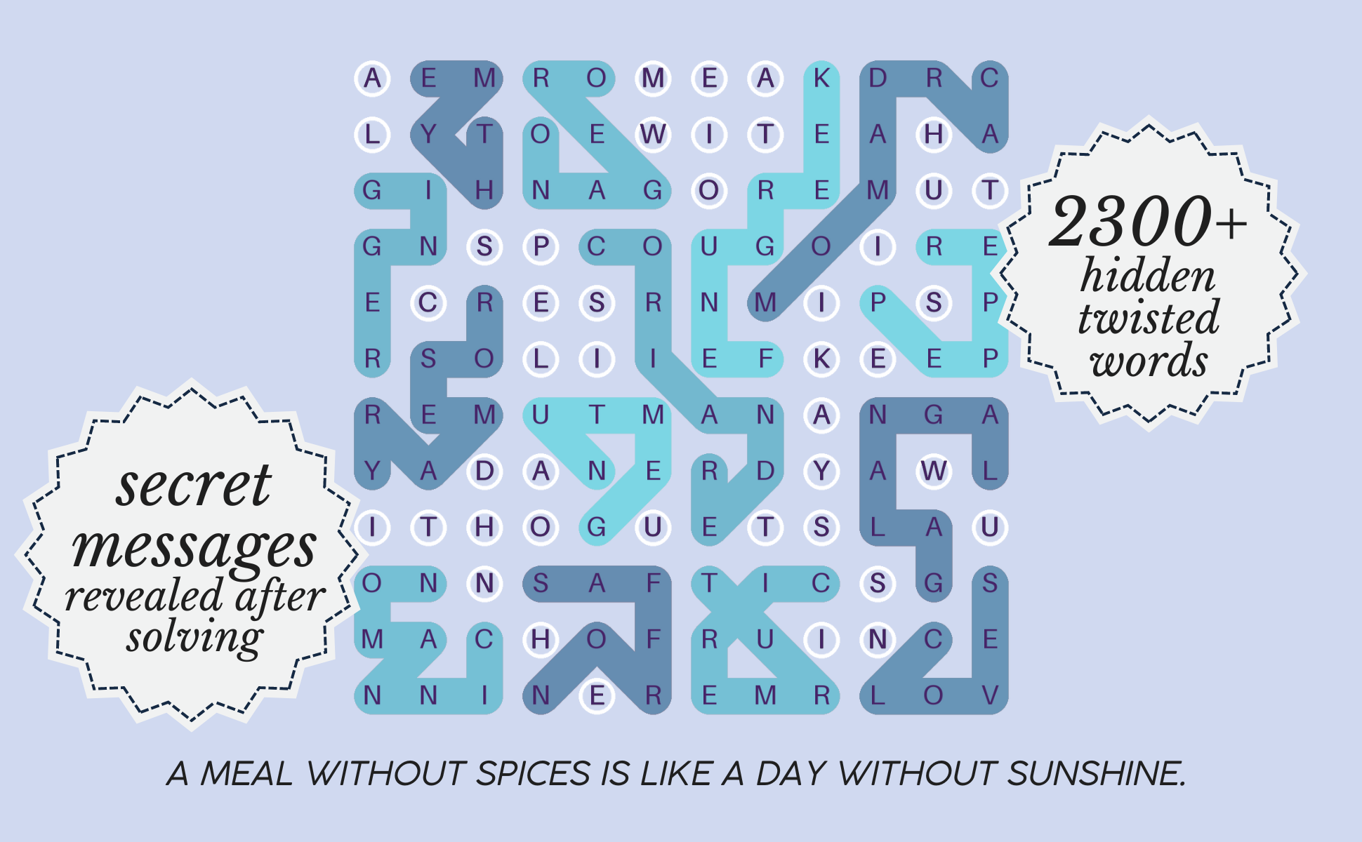 word search book